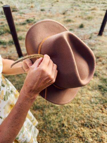 Black Cockatoo Coorabell