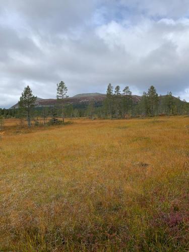 Koselig hytte - Trysilfjellet nært til sykkel- og turstier - 4 soverom, 2 bad, badstue, fiber bredbånd og Elbillader Koselig hytte - Trysilfjellet nært til sykkel- og turstier - 4 soverom, 2 bad, badstue, fiber bredbånd og Elbillader
