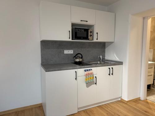 Kitchen, Skolni 60 in Pelhrimov