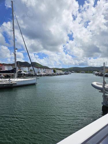 216A Lower Level, Deluxe 1 Bedroom, Jolly Harbour (fotografie 3)
