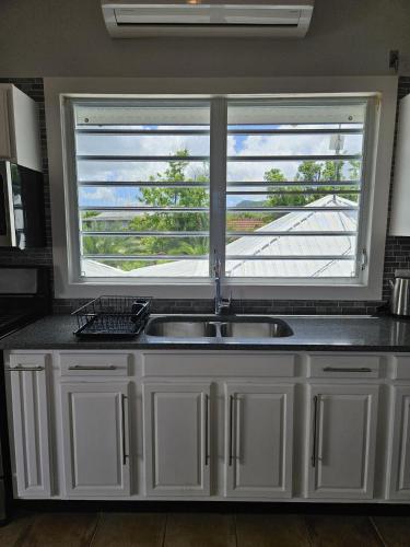 216A Upper Level, Deluxe 1 Bedroom, Jolly Harbour (foto 8)