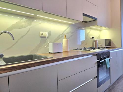 Spacious & Cozy Apartment, Kišiněv (fotografie 10)