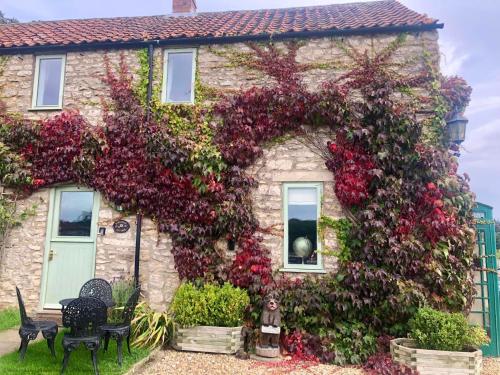 Kirkdale Cottage - image 5