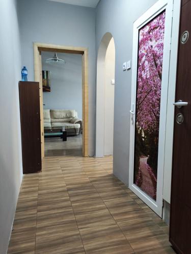 Yotsa 2BR, Sofía (foto 5)