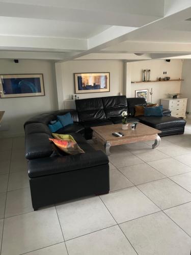 Large cozy living room with bedroom, bathroom in Strandlyst