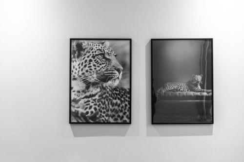 Modena Relax Luxury Rent Rooms