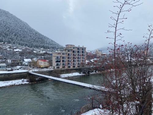 Квартира у парка на первом этаже, Bordžomi (fotografie 5)