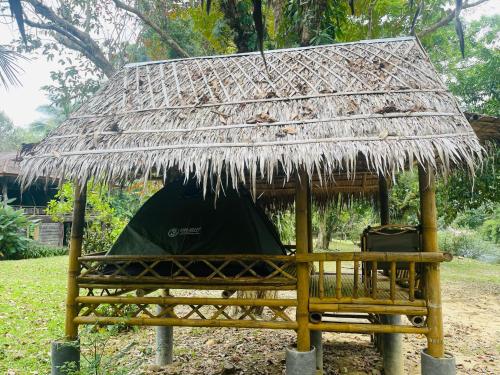 카오속 (수랏타니) Khaosok Monkeys & River Camps 3성급 호텔 전망