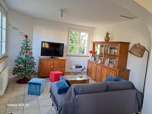 Koplietošanas atpūtas telpa ar TV, La Saulas in Meusnes