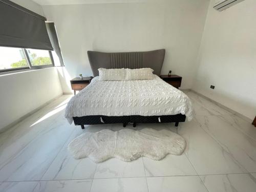 Beautiful House in Fraccionamiento del Camino