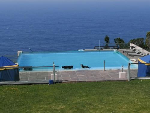 Tsitsikamma on Sea Self-catering Cottages in Witelsbos