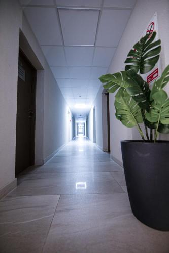 Dzukija Hotel - image 2