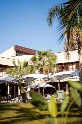 阳台/露台, Hotel Boutique Hort de Nal in 埃尔切