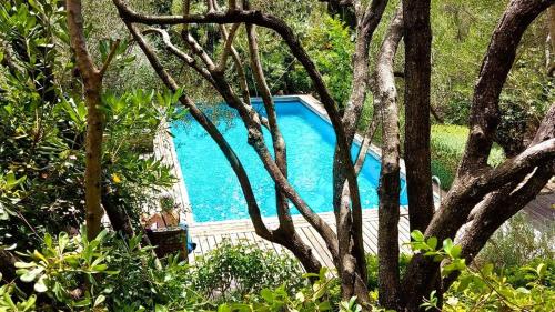 Villa Gialla, 8 pers, piscine, 10 min plage en voiture, Gialla
