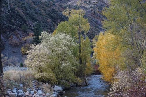 Mountain Apartment Located in BigCottonwood Canyon in Snowbird Lodge (UT)