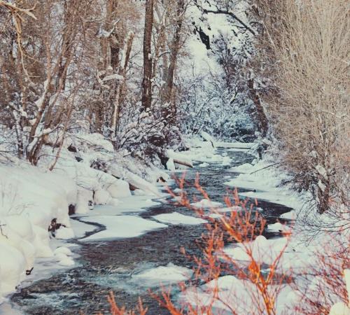 Mountain Apartment Located in BigCottonwood Canyon in Snowbird Lodge (UT)