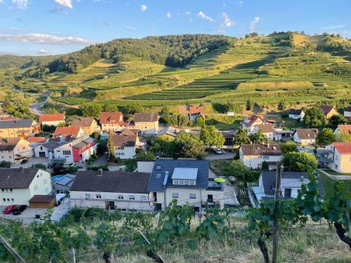Weingut & Straußwirtschaft Vogel in Vogtsburg, Deutschland