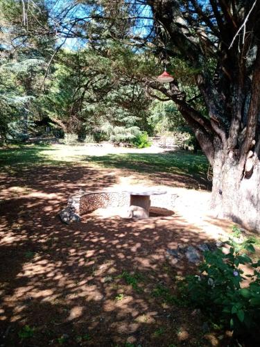 Dārzs, Casa Ortiz in Villa Amancay