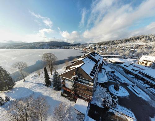 Maritim Titisee Hotel - image 10