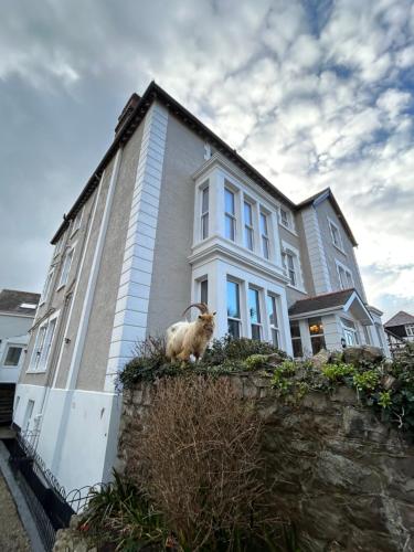 Lansdowne House with Private Car Park - image 13