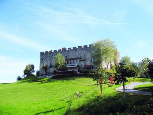 logement cosy entre lac et montagnes in Larringes
