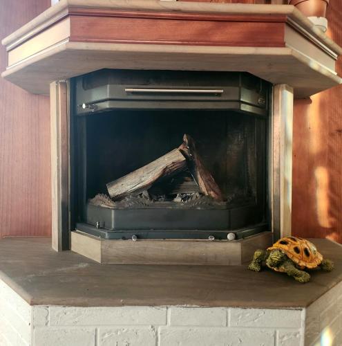 Urban Rustic Apartment in Blloku area, Tirana (fotografie 5)