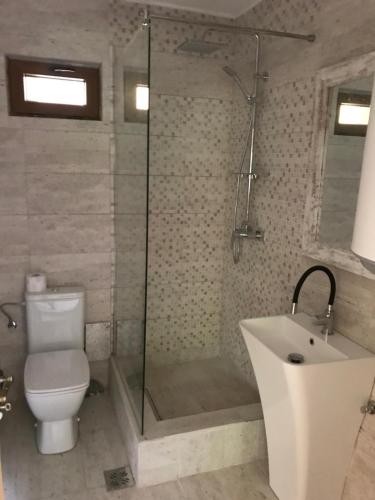 Cabana Elveția (Cabana Elvetia) in Brădeţelu