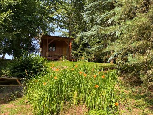 Tiny Resort Chotěvice 1 (Tiny Resort Chotevice 1) in พิลนิคอฟ