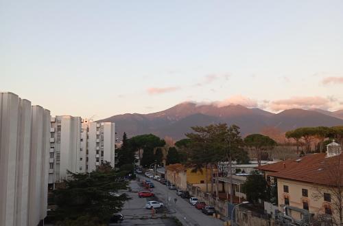 乔尔诺特住宿加早餐酒店 乔尔诺特住宿加早餐酒店