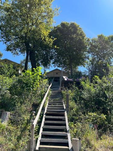 Заобикаляща среда, Quiver Beach Cabin in Havana