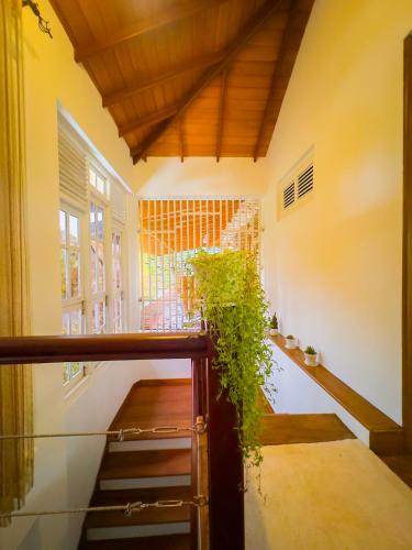 Deer Hill Rest Kandy