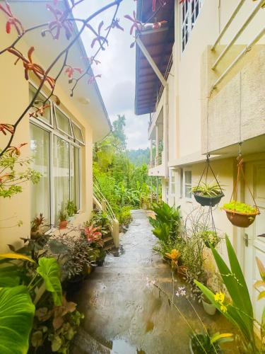 Deer Hill Rest Kandy