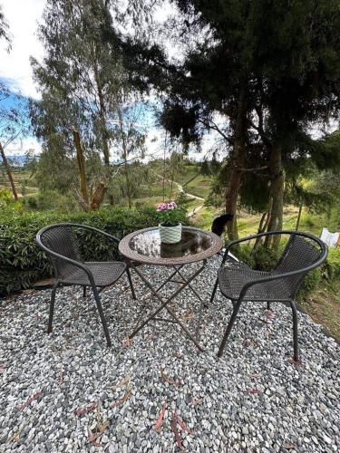 Encanto Verde cabaña sencilla