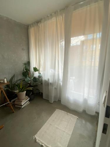 Modern Sunny Flat in Neukolln, Berlin (photo 6)