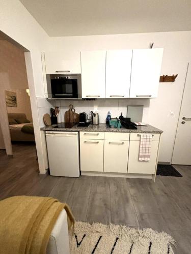 Top Apartment in Center of Zurich, Curych (fotografie 6)