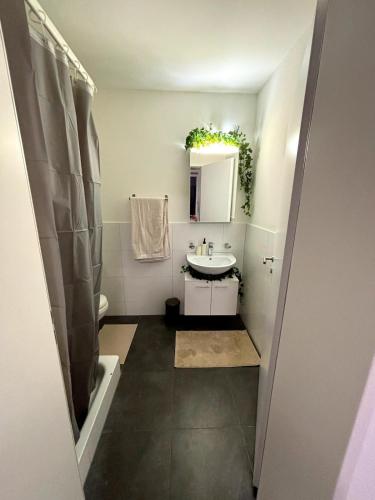Top Apartment in Center of Zurich, Curych (fotografie 10)