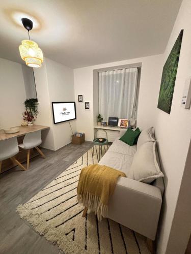 Top Apartment in Center of Zurich, Curych (fotografie 4)