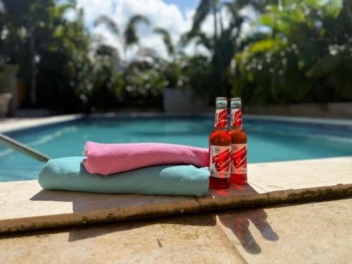 Elegance, Ochi Rios - 2BR Oasis with Exclusive Private Pool!, Mammee Bay (fotografie 2)