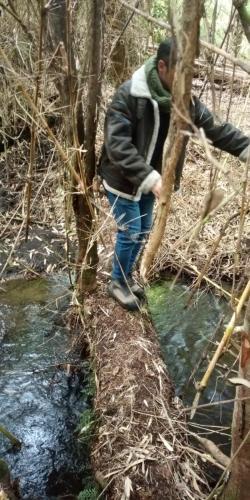 La Posada del Colono