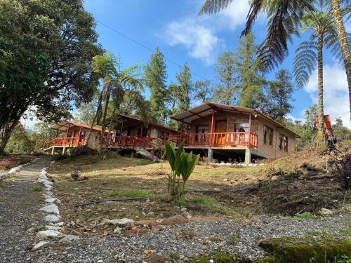 tuin, Quindanna Lodge in Cosanga