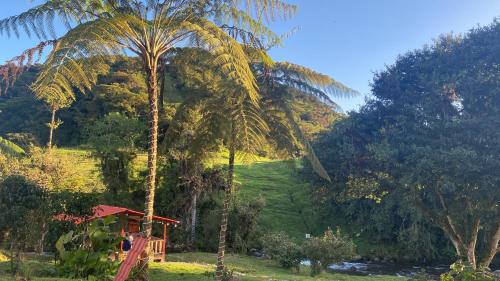 tuin, Quindanna Lodge in Cosanga