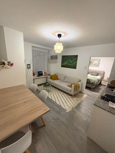 Top Apartment in Center of Zurich in Zürich, Schweiz