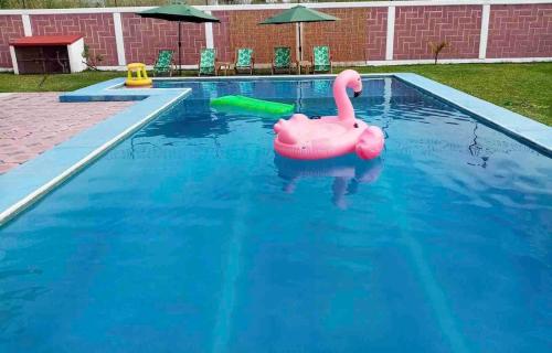 Heated pool, Casa Senda del Son-Cuautla