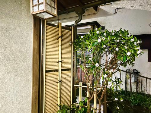 湯元早雲 箱根湯本駅 商店街 徒歩圏 湯元早雲 箱根湯本駅 商店街 徒歩圏