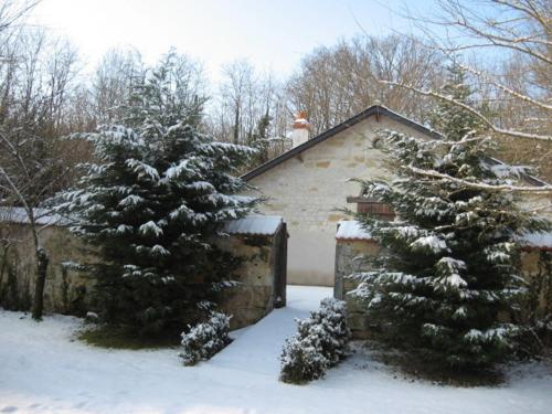 Gîte familial en forêt près de Chinon - FR-1-381-232 (Gite familial en foret pres de Chinon - FR-1-381-232) in Saint-Benoit-la-Foret