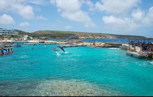 Apartament Studio Euphoria Relax in Marie Pampoen