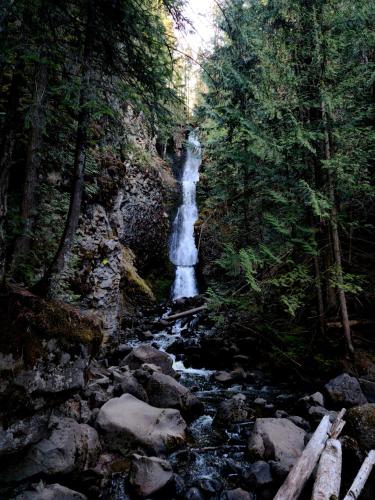 สภาพแวดล้อมโดยรอบ, Grizzly Paw B&B in เคลียร์วอเตอร์ (BC)