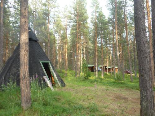 Lemmenjoen Lumo - Nature Experience & Accommodation - image 5
