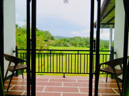 Wildlife Kingdom - Deniyaya Sinharaja 4