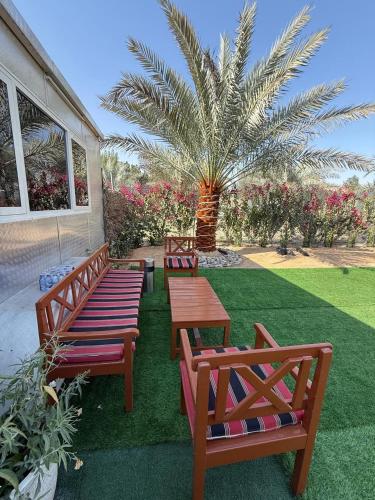 Kert, the farm break in Madinat Zayid